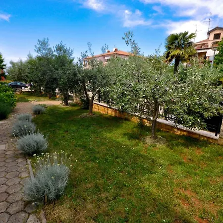 Fuer 2 Personen 35 M2 In Novigrad- Istrien By Interhome Novigrad Istria